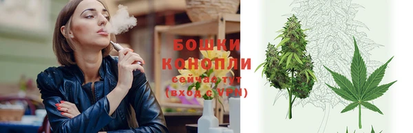 ПСИЛОЦИБИНОВЫЕ ГРИБЫ Краснослободск