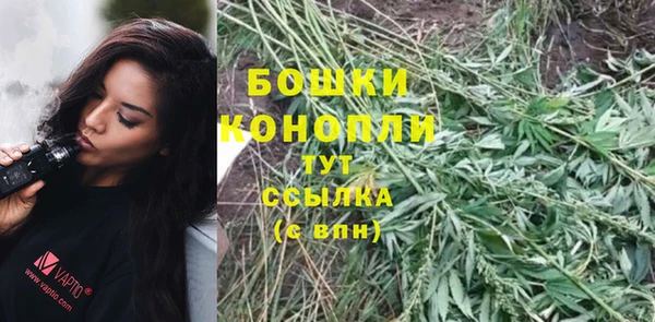 мяу мяу мука Краснотурьинск