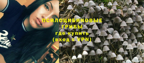 ПСИЛОЦИБИНОВЫЕ ГРИБЫ Краснослободск