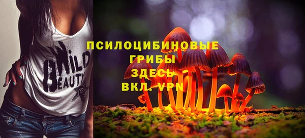 мяу мяу мука Краснотурьинск