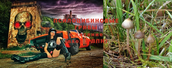 мяу мяу мука Краснотурьинск