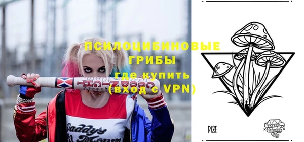 ПСИЛОЦИБИНОВЫЕ ГРИБЫ Краснослободск
